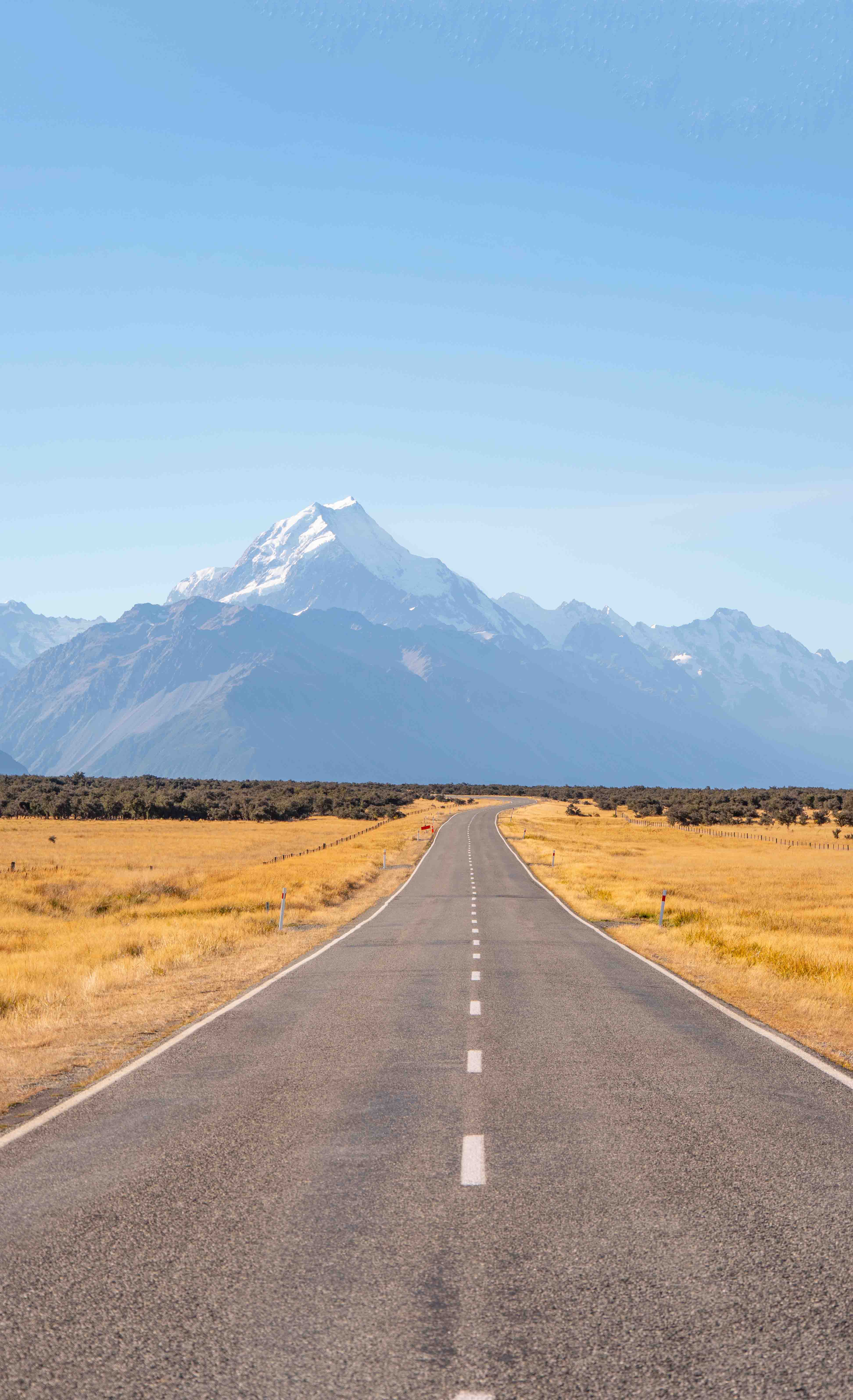 Straight road through golden grass fields leading to snow-capped mountains under clear blue sky.